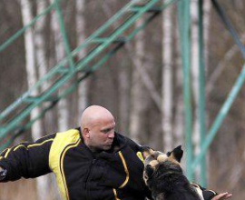 Павел Ижболдин - кинолог, инструктор по дрессировке собак. Защитная дрессировка собак.