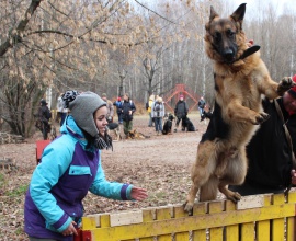 Дрессировка собак в Москве кинологом Сокольники